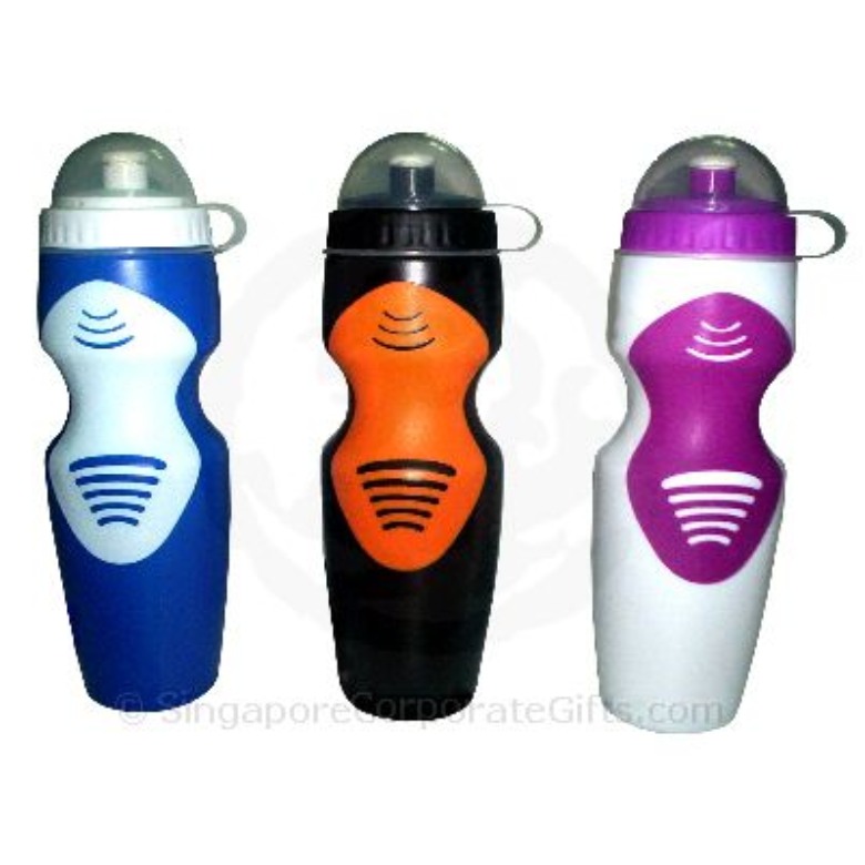 Water Bottle (750ml)